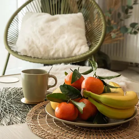 Le Petit Anjou, Cocon Chaleureux Et Apaisant Apartment Angers