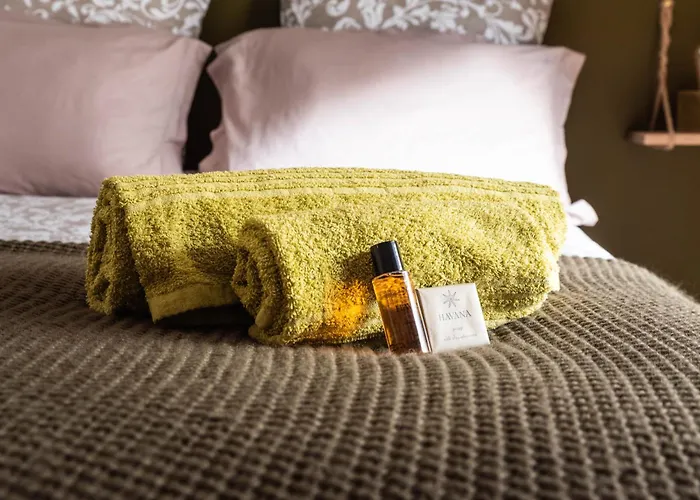 Le Petit Anjou, Cocon Chaleureux Et Apaisant Анже